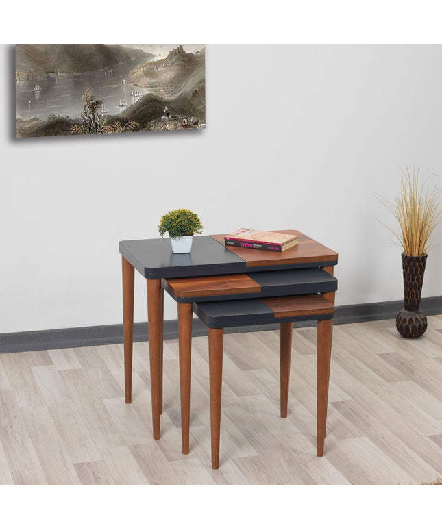 Lexa Series Walnut-Navy Blue Coffee Table